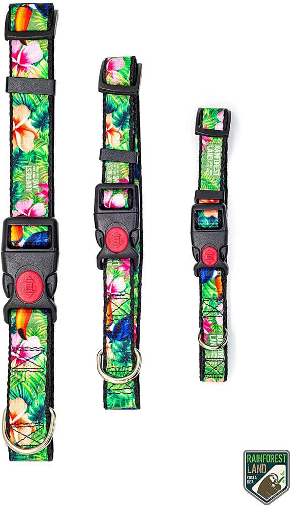 Toucan Dog Collar