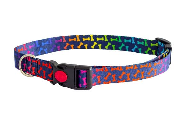 Rainbow Bones Dog collar