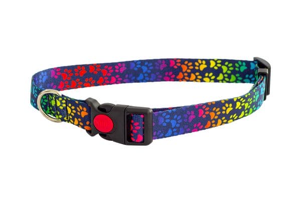 Rainbow paws dog collar