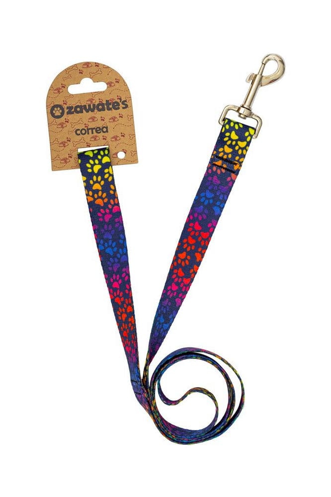 Rainbow Paws Dog Leash 1.3M